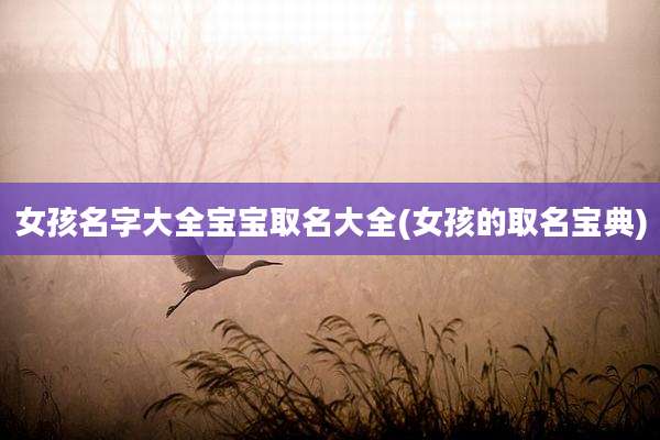 女孩名字大全宝宝取名大全(女孩的取名宝典)