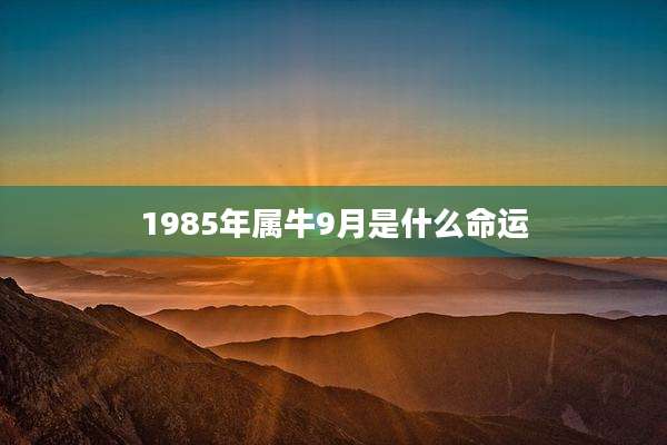 1985年属牛9月是什么命运