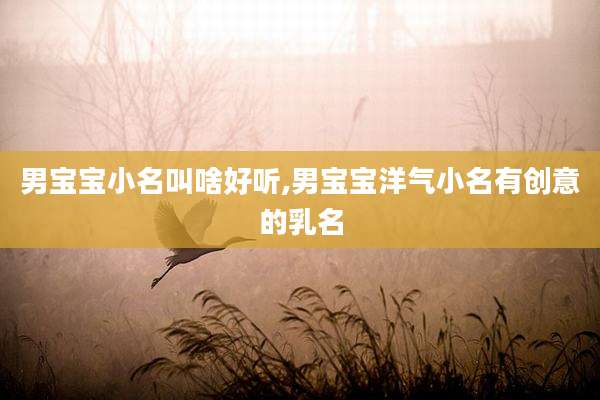 男宝宝小名叫啥好听,男宝宝洋气小名有创意的乳名