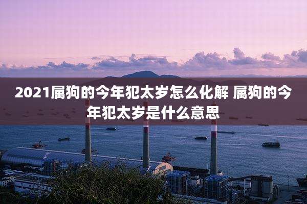 2021属狗的今年犯太岁怎么化解 属狗的今年犯太岁是什么意思