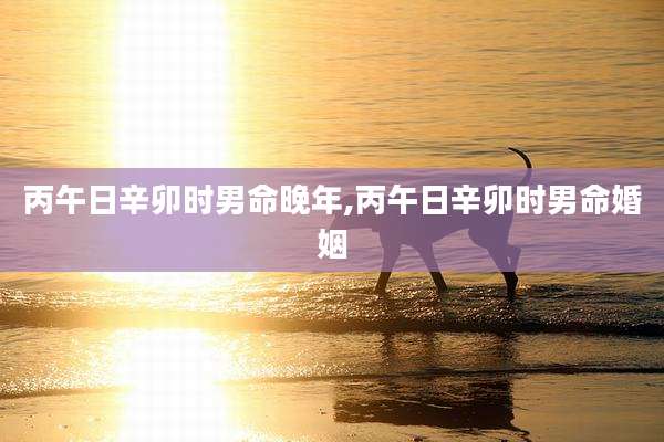 丙午日辛卯时男命晚年,丙午日辛卯时男命婚姻