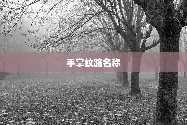 手掌纹路名称