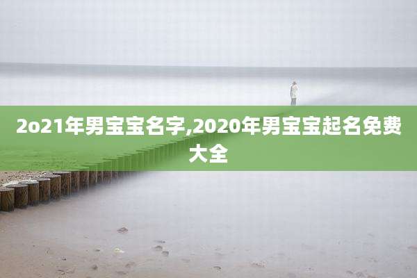 2o21年男宝宝名字,2020年男宝宝起名免费大全