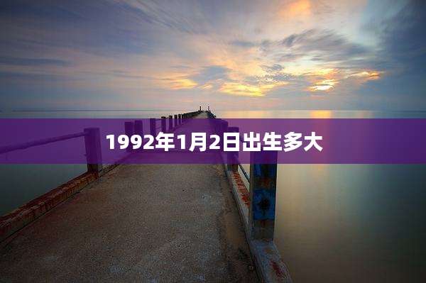 1992年1月2日出生多大