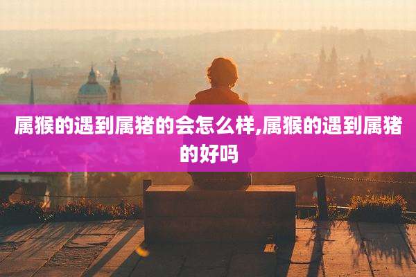 属猴的遇到属猪的会怎么样,属猴的遇到属猪的好吗