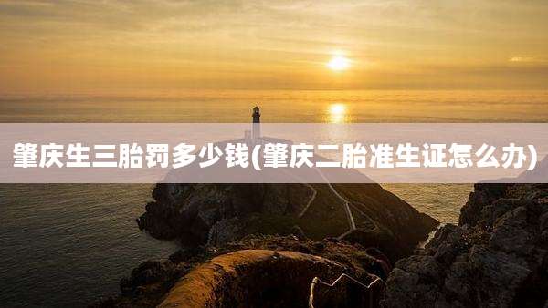 肇庆生三胎罚多少钱(肇庆二胎准生证怎么办)