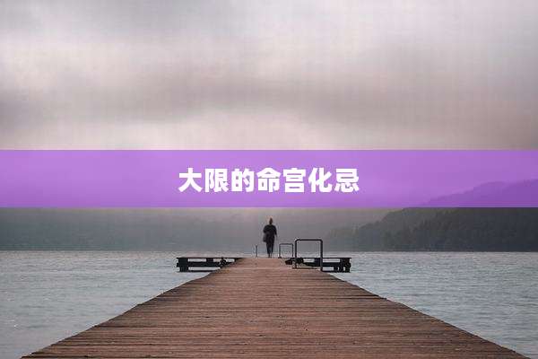 大限的命宫化忌
