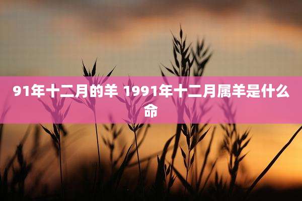 91年十二月的羊 1991年十二月属羊是什么命
