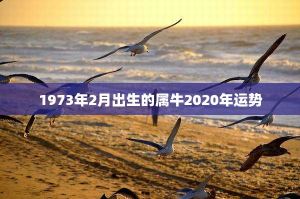 1973年2月出生的属牛2020年运势