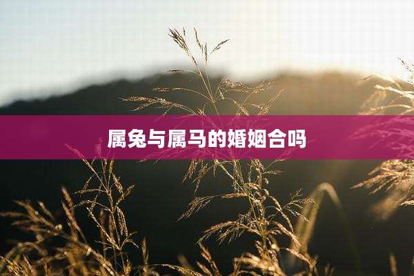 属兔与属马的婚姻合吗