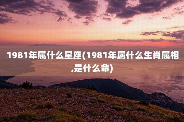 1981年属什么星座(1981年属什么生肖属相,是什么命)