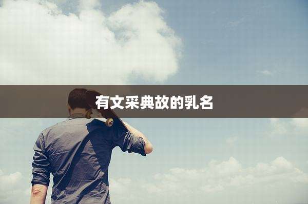 有文采典故的乳名