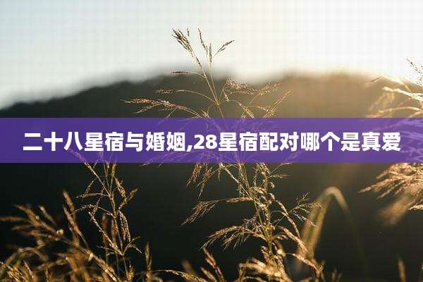 二十八星宿与婚姻,28星宿配对哪个是真爱