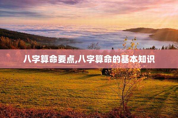 八字算命要点,八字算命的基本知识