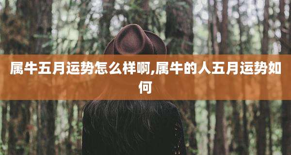 属牛五月运势怎么样啊,属牛的人五月运势如何