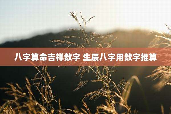 八字算命吉祥数字 生辰八字用数字推算