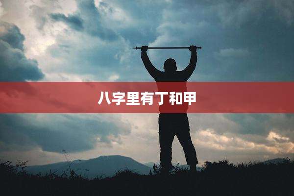 八字里有丁和甲
