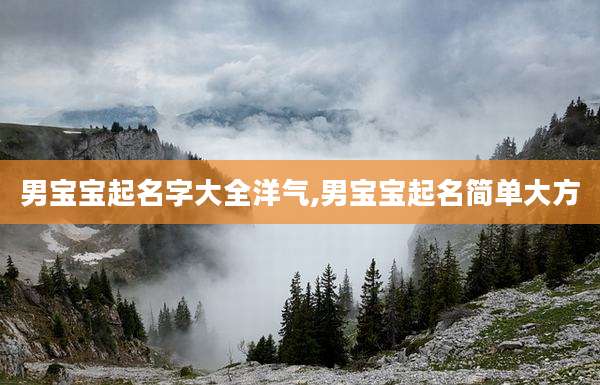 男宝宝起名字大全洋气,男宝宝起名简单大方