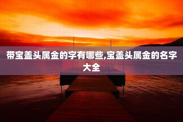 带宝盖头属金的字有哪些,宝盖头属金的名字大全