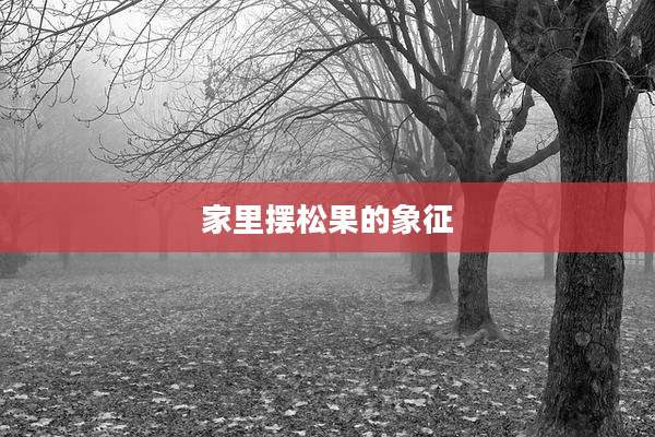 家里摆松果的象征