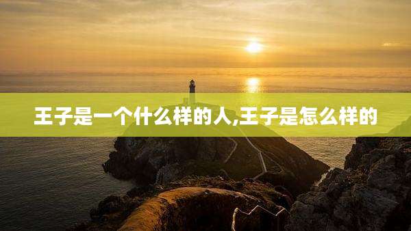 王子是一个什么样的人,王子是怎么样的
