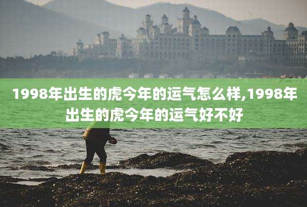 1998年出生的虎今年的运气怎么样,1998年出生的虎今年的运气好不好