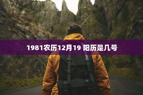 1981农历12月19 阳历是几号