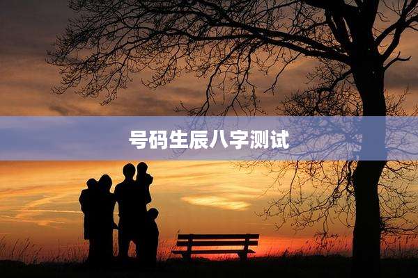 号码生辰八字测试