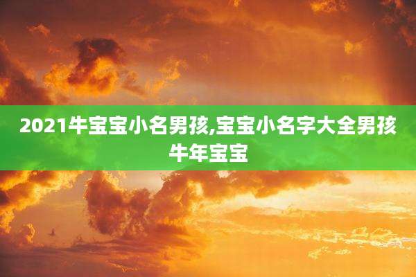 2021牛宝宝小名男孩,宝宝小名字大全男孩牛年宝宝