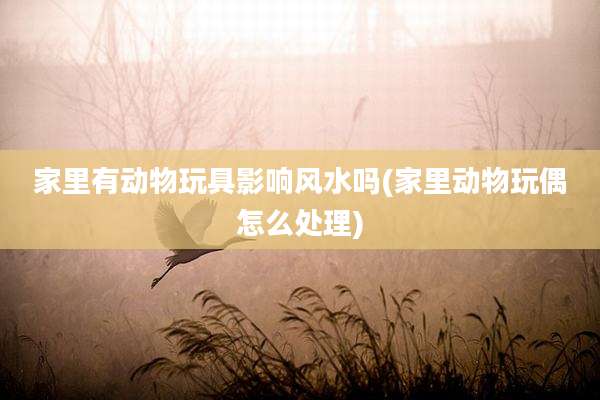 家里有动物玩具影响风水吗(家里动物玩偶怎么处理)