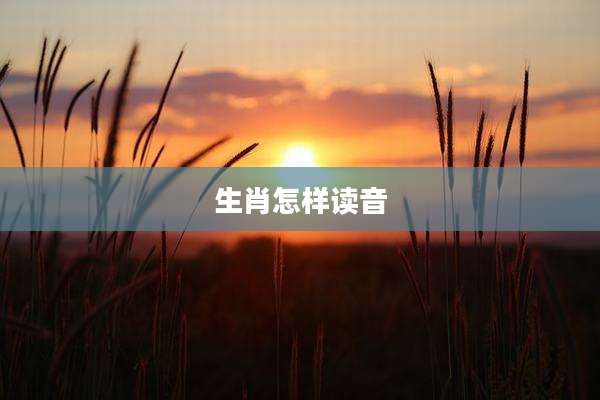 生肖怎样读音