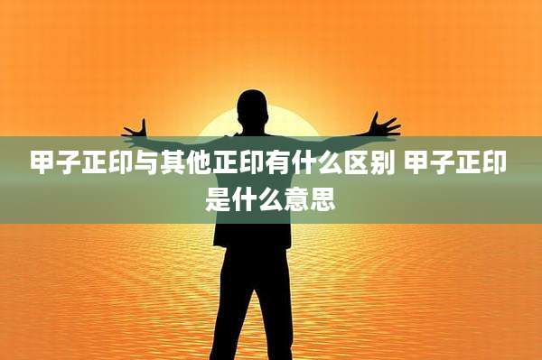 甲子正印与其他正印有什么区别 甲子正印 是什么意思