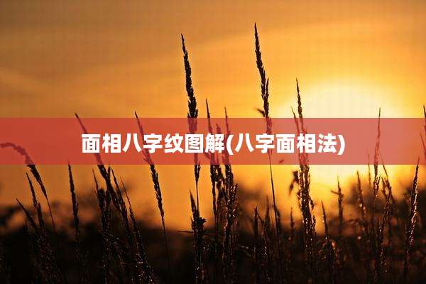 面相八字纹图解(八字面相法)