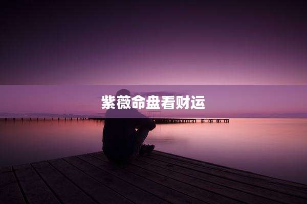 紫薇命盘看财运