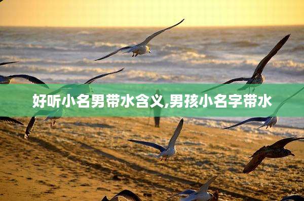 好听小名男带水含义,男孩小名字带水