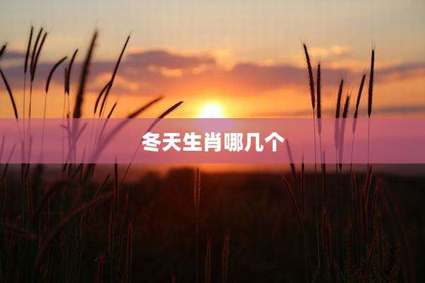 冬天生肖哪几个