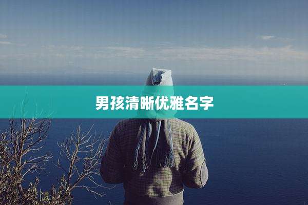 男孩清晰优雅名字