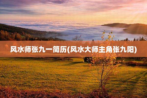 风水师张九一简历(风水大师主角张九阳)