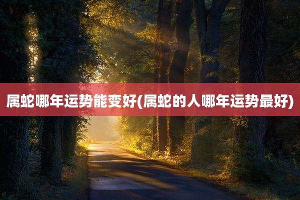 属蛇哪年运势能变好(属蛇的人哪年运势最好)