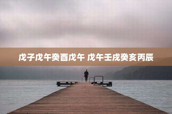 戊子戊午癸酉戊午 戊午壬戌癸亥丙辰