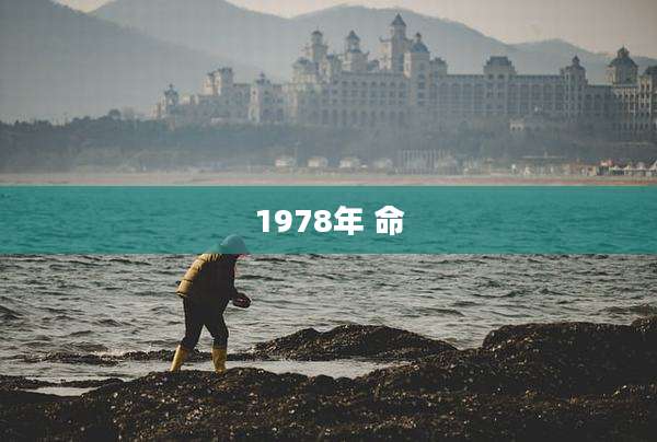 1978年 命