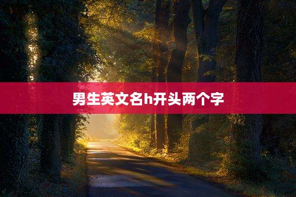 男生英文名h开头两个字