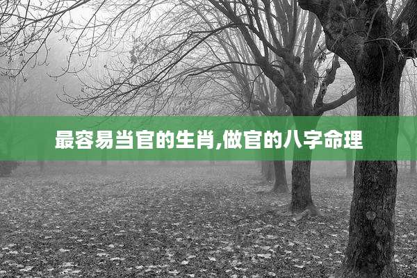 最容易当官的生肖,做官的八字命理