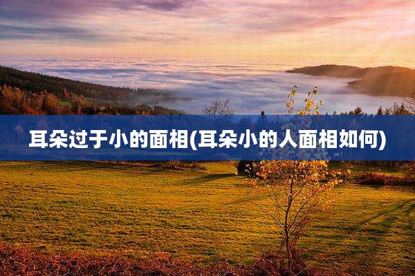 耳朵过于小的面相(耳朵小的人面相如何)