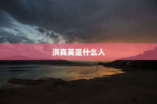 洪真英是什么人