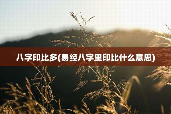 八字印比多(易经八字里印比什么意思)