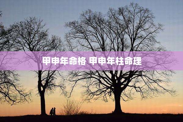甲申年命格 甲申年柱命理