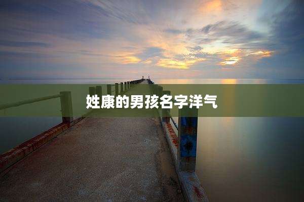 姓康的男孩名字洋气
