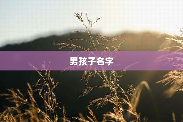 男孩子名字
