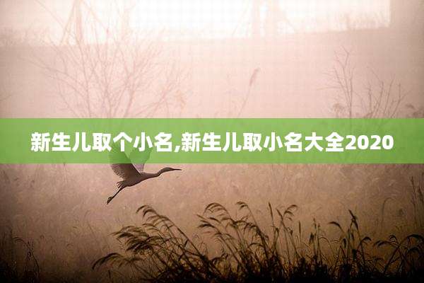 新生儿取个小名,新生儿取小名大全2020